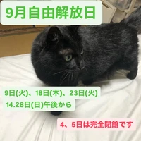 画像248