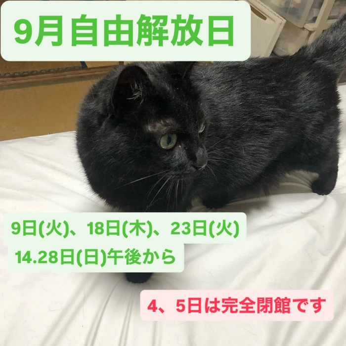 画像248