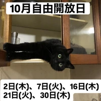 画像250