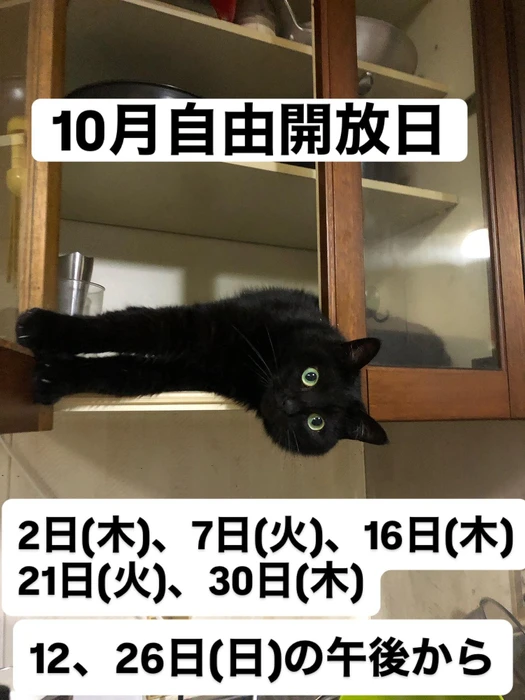 画像250